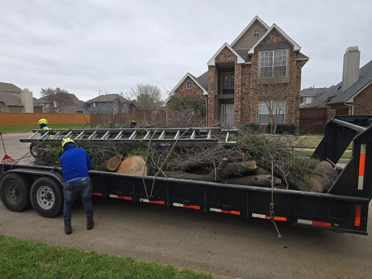 Expert Tree Pest Control with proper safety equipment in West Hickory